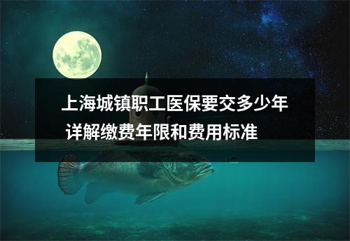 上海城镇职工医保要交多少年 详解缴费年限和费用标准