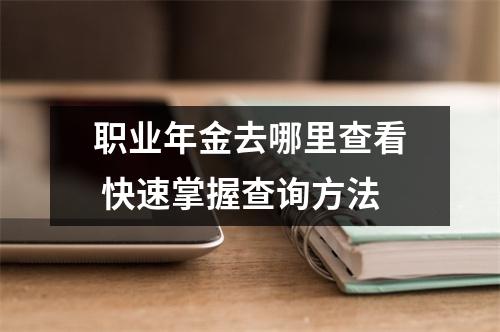 职业年金去哪里查看 快速掌握查询方法