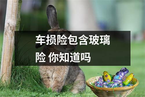 车损险包含玻璃险 你知道吗 