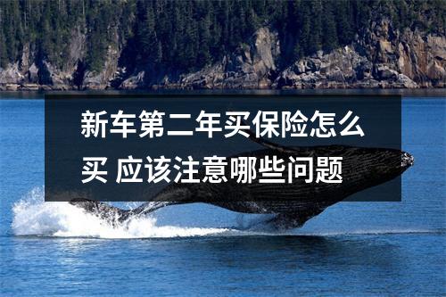 新车第二年买保险怎么买 应该注意哪些问题