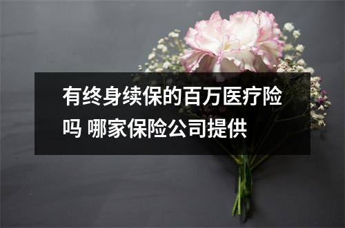 有终身续保的百万医疗险吗 哪家保险公司提供