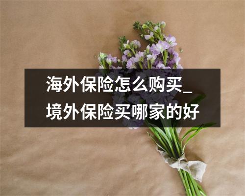 海外保险怎么购买_境外保险买哪家的好