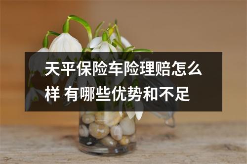 天平保险车险理赔怎么样 有哪些优势和不足