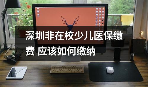深圳非在校少儿医保缴费 应该如何缴纳 