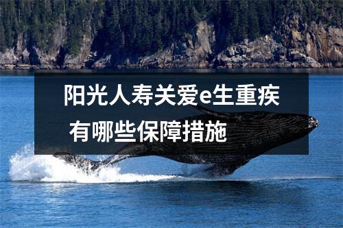 阳光人寿关爱e生重疾 有哪些保障措施 