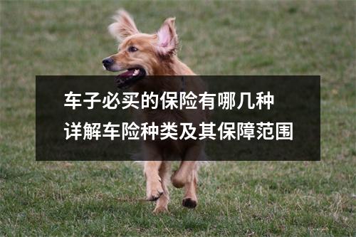 车子必买的保险有哪几种 详解车险种类及其保障范围