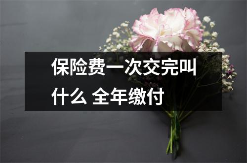 保险费一次交完叫什么 全年缴付