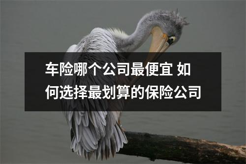 车险哪个公司最便宜 如何选择最划算的保险公司