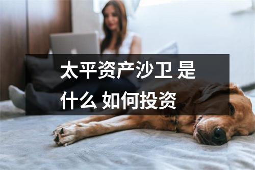 太平资产沙卫 是什么 如何投资 