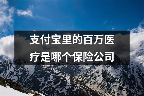 支付宝里的百万医疗是哪个保险公司