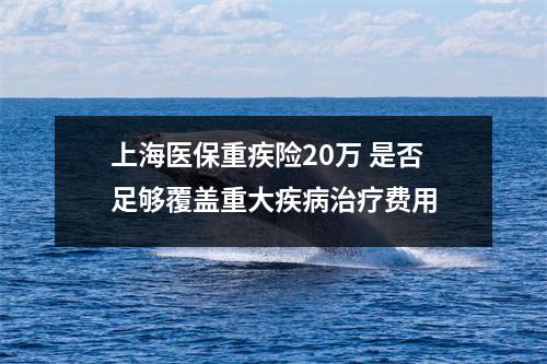 上海医保重疾险20万 是否足够覆盖重大疾病治疗费用
