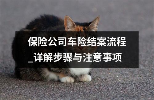保险公司车险结案流程_详解步骤与注意事项