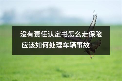 没有责任认定书怎么走保险 应该如何处理车辆事故