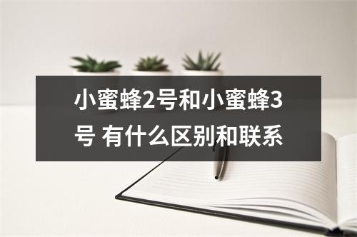 小蜜蜂2号和小蜜蜂3号 有什么区别和联系