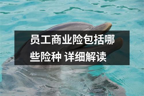 员工商业险包括哪些险种 详细解读