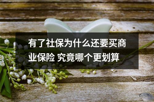 有了社保为什么还要买商业保险 究竟哪个更划算