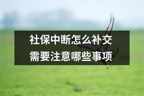 社保中断怎么补交 需要注意哪些事项