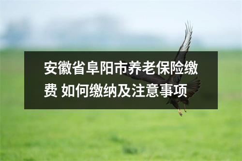 安徽省阜阳市养老保险缴费 如何缴纳及注意事项