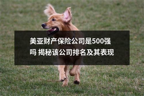 美亚财产保险公司是500强吗 揭秘该公司排名及其表现