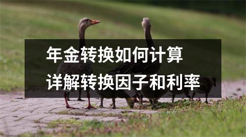 年金转换如何计算 详解转换因子和利率