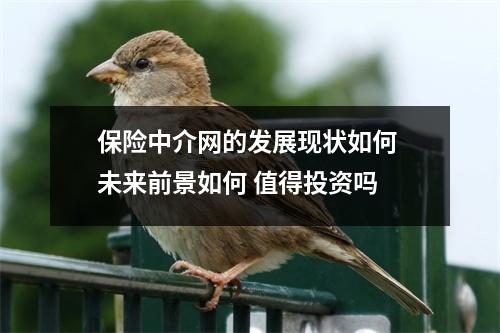 保险中介网的发展现状如何 未来前景如何 值得投资吗