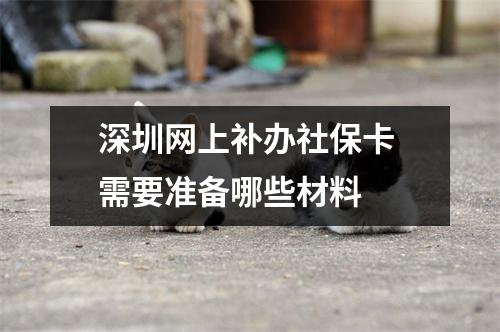 深圳网上补办社保卡 需要准备哪些材料 