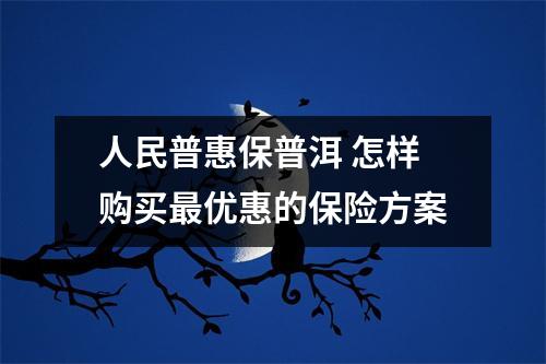 人民普惠保普洱 怎样购买最优惠的保险方案