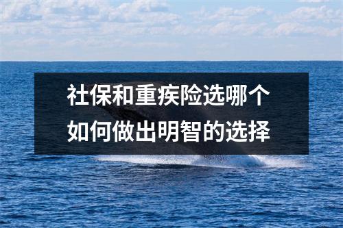 社保和重疾险选哪个 如何做出明智的选择