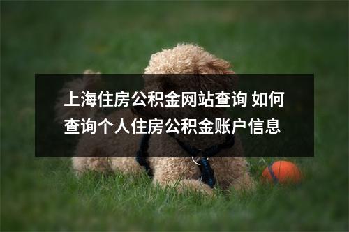 上海住房公积金网站查询 如何查询个人住房公积金账户信息