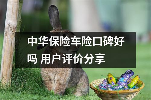 中华保险车险口碑好吗 用户评价分享