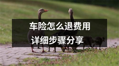 车险怎么退费用 详细步骤分享