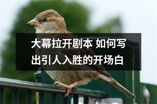 大幕拉开剧本 如何写出引人入胜的开场白