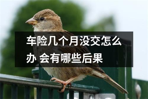 车险几个月没交怎么办 会有哪些后果