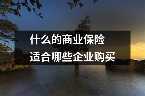 什么的商业保险 适合哪些企业购买