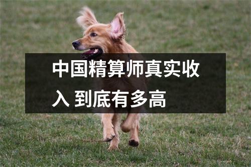 中国精算师真实收入 到底有多高 