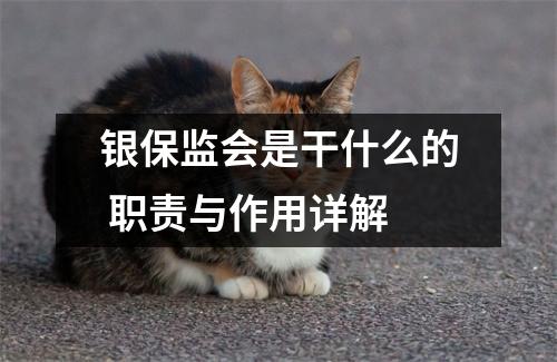 银保监会是干什么的 职责与作用详解