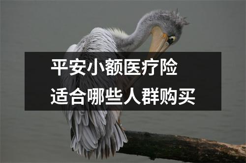 平安小额医疗险 适合哪些人群购买