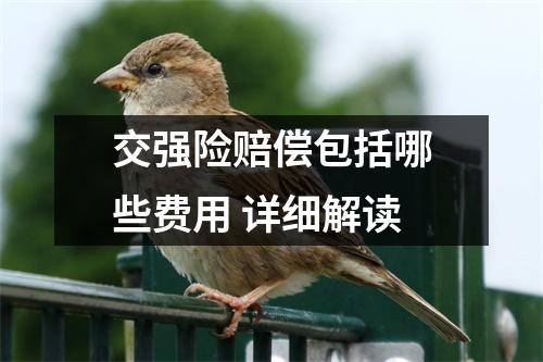 交强险赔偿包括哪些费用 详细解读