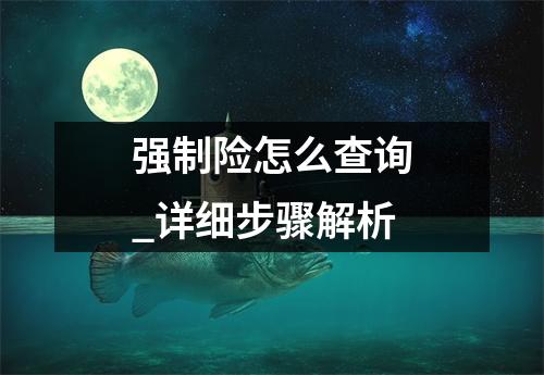 强制险怎么查询_详细步骤解析