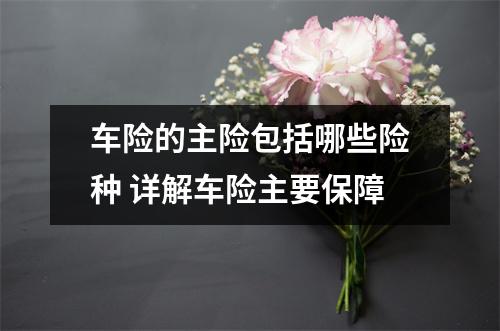 车险的主险包括哪些险种 详解车险主要保障