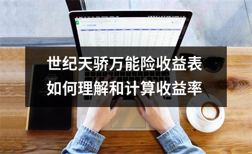 世纪天骄万能险收益表 如何理解和计算收益率