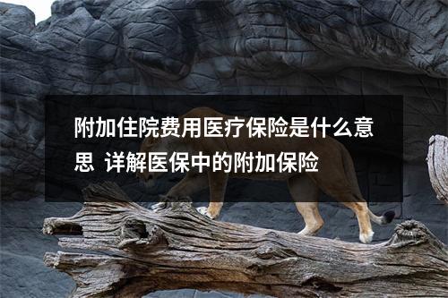 附加住院费用医疗保险是什么意思 详解医保中的附加保险