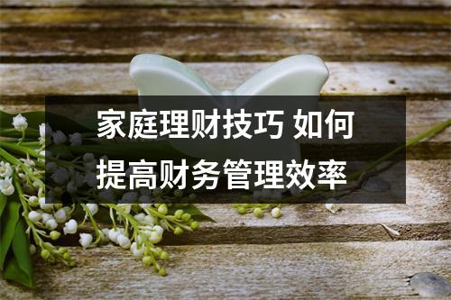家庭理财技巧 如何提高财务管理效率