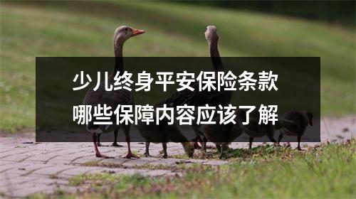 少儿终身平安保险条款 哪些保障内容应该了解 