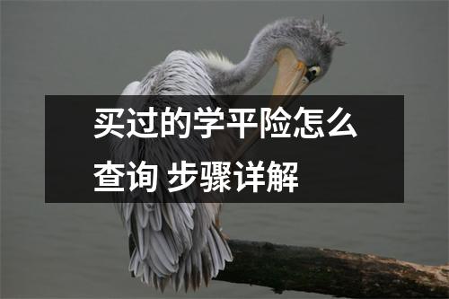 买过的学平险怎么查询 步骤详解