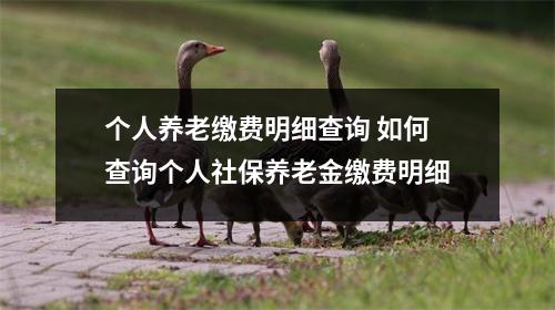 个人养老缴费明细查询 如何查询个人社保养老金缴费明细