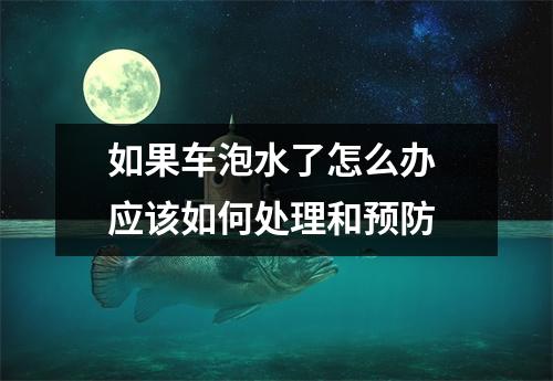 如果车泡水了怎么办 应该如何处理和预防