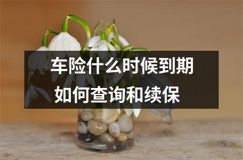 车险什么时候到期 如何查询和续保