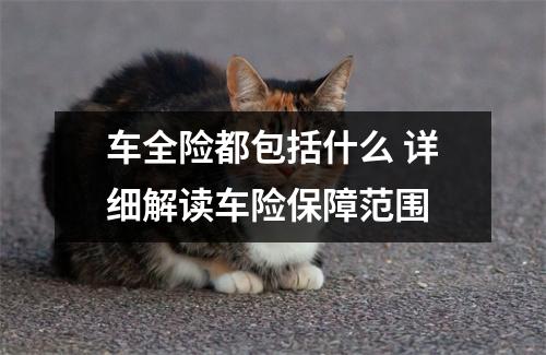 车全险都包括什么 详细解读车险保障范围