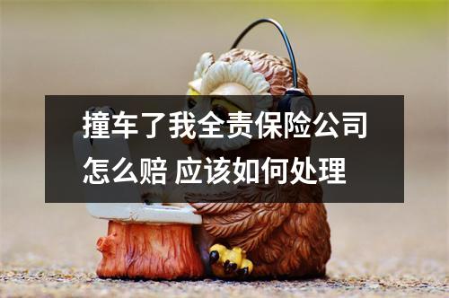 撞车了我全责保险公司怎么赔 应该如何处理